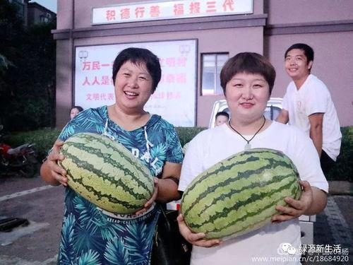 今日吃瓜大汇总 第2张 今日吃瓜大汇总 第2张